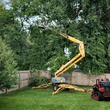 Best Grass Overseeding  in Imperial Beach, CA