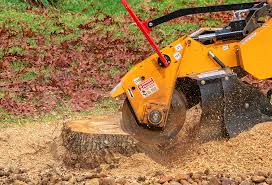 Best Stump Grinding and Removal  in Imperial Beach, CA